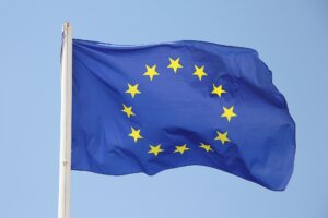 Limosa declaration Belgium (BusinessBelgium.be)